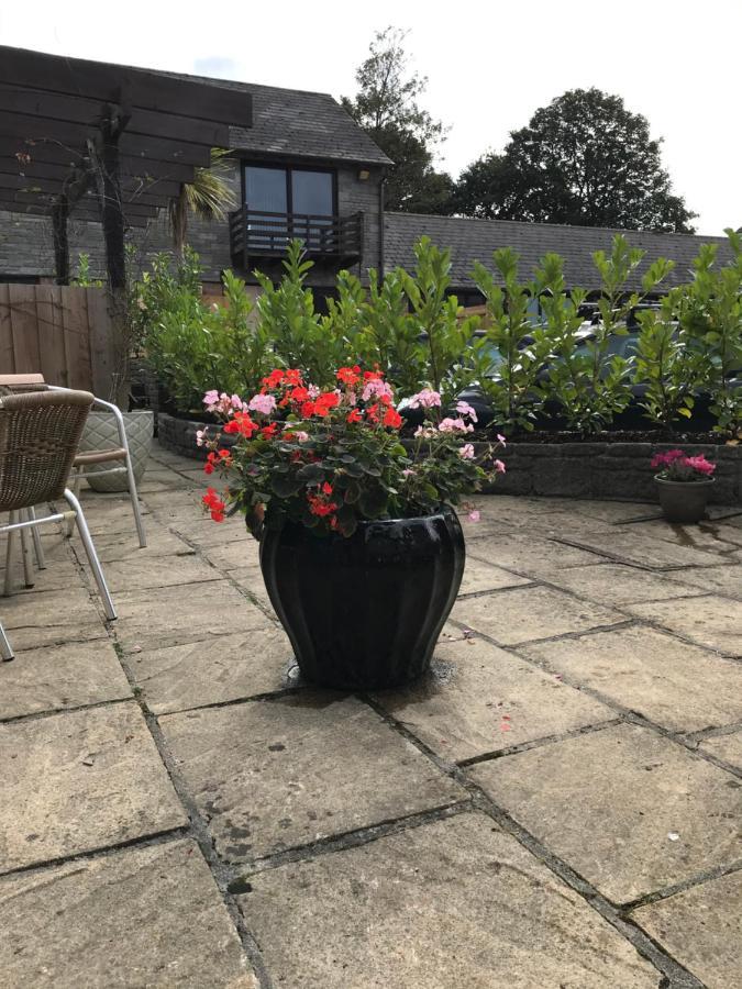 Smithaleigh Farm Rooms And Apartments Sparkwell Dış mekan fotoğraf